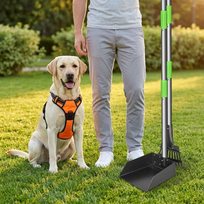 Dog Pooper Scooper avec poignée longue, plateau et râteau en acier inoxydable, pour chiens de taille moyenne et petite, fournitures pour animaux lourds pour l'herbe, la saleté et le gravier