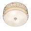 Deserto Seco 12 - Light Flush Mount