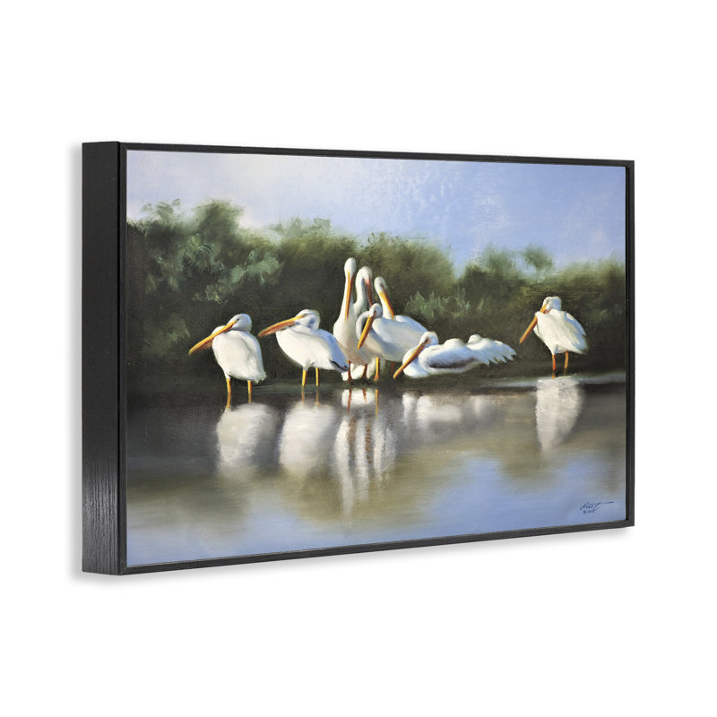 Pélicans blancs, estampe numérique par D. Rust, H 12 po x l 18 po, Giclée encadrée noir minuit