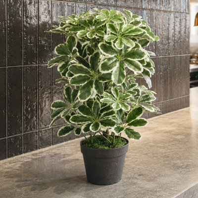 55cm Faux Plant in Pot Liner