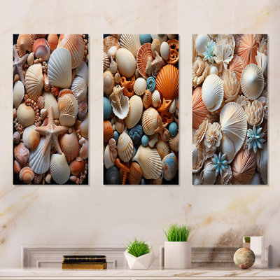 Classic Seashells By The Sea - ensemble de 3 impressions sur toile coquillage