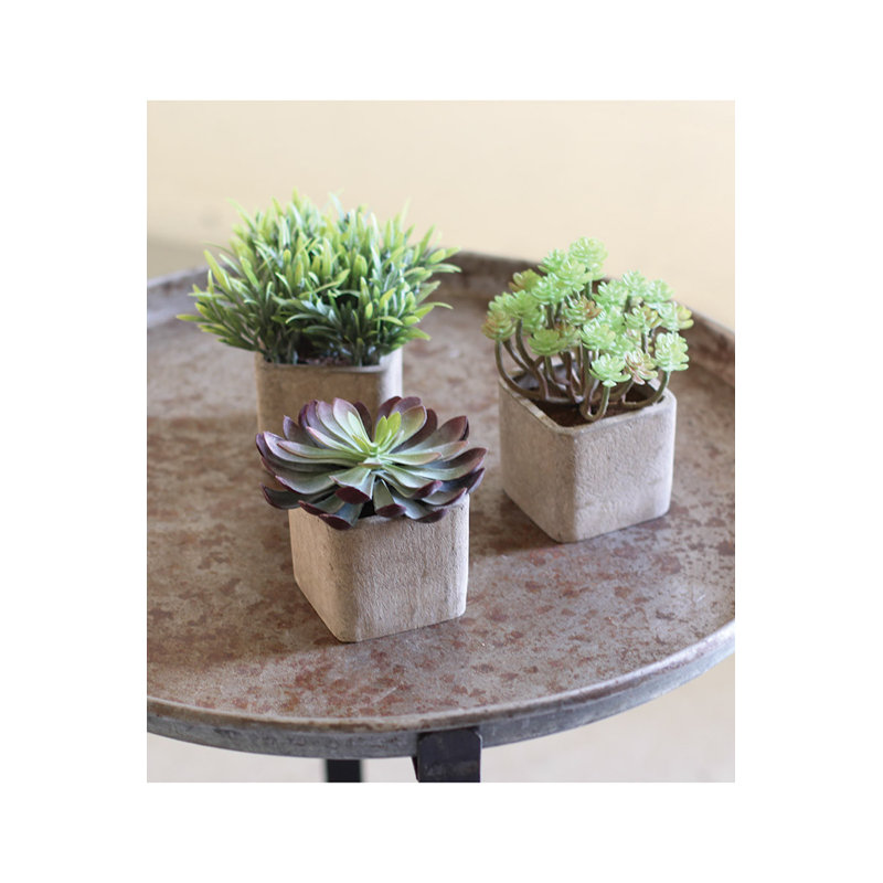 Faux Succulent in Cement Pot