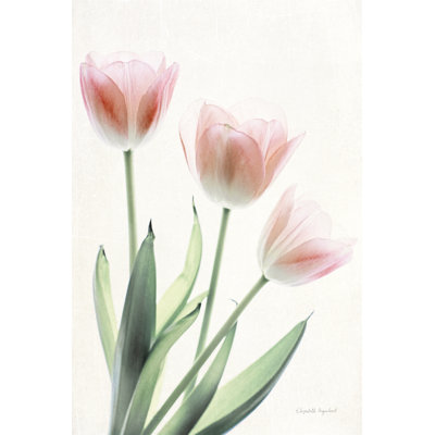 Floral clair et lumineux II