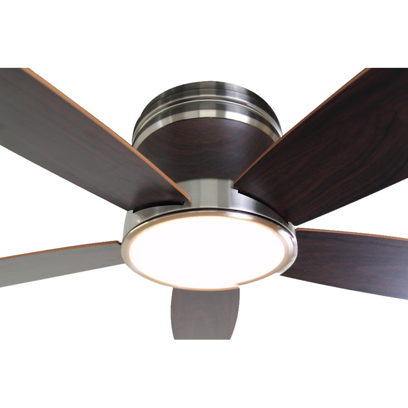 Ventilateur de plafond à profil bas en nickel brossé Curves 52 pouces avec boîtier en teck pour moteur Curve, lumière DEL et télécommande