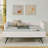 Upholstered Tufted Daybed Trundle Sofa Bed-1704528300