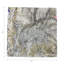Arcadia Chettah Cotton Sateen Cocktail Napkins
