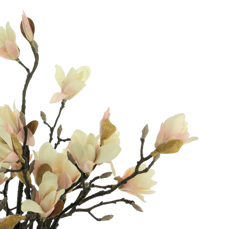 Magnolia Arrangement, Pink/Cream
