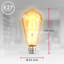 Set of 10 filament bulbs ST64