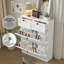 Armoire de rangement pour chaussures 12 paires avec 2 tiroirs-459923148