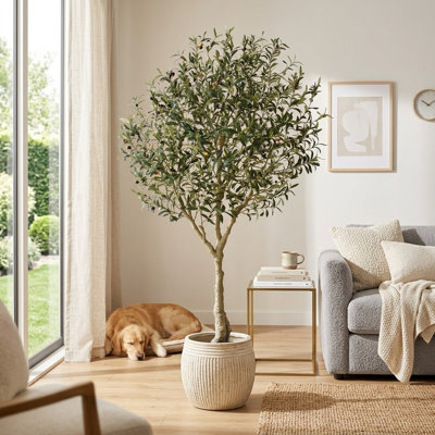 Olive artificielle en pot 7 pi avec branches et fruits réalistes pour un décor moderne de bureau à domicile