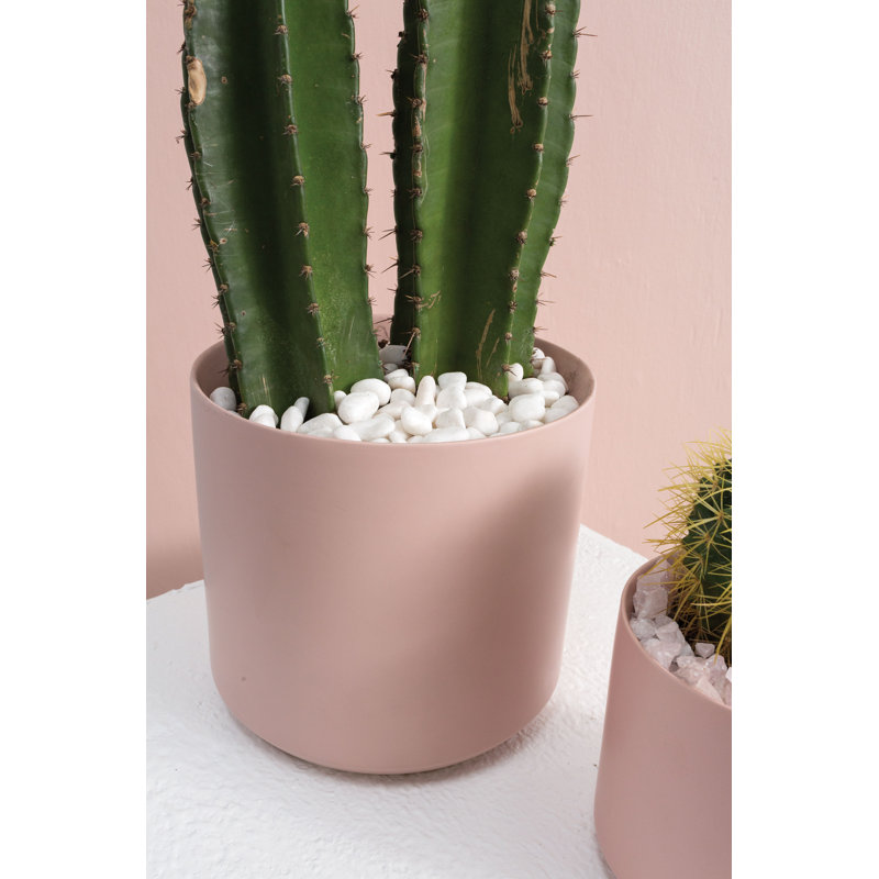 Apollo Decorative Objects