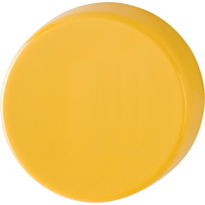 Amaryl Brescia Blind Escutcheon (Pair)