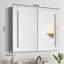 40'' W Mirrored Medicine Cabinet