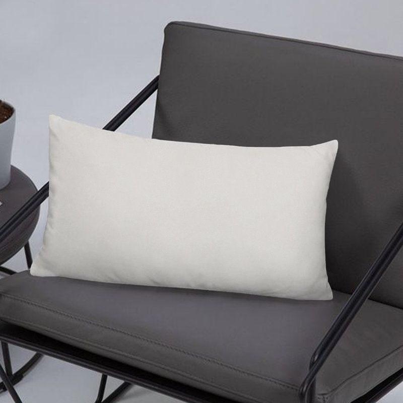 A1HC Down-Alternative Throw Pillow Insert – Velvet Cover, Hypoallergenic, Ready-to-Use (Set of 1), White, 12"H x 20"W