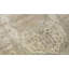 Cornwall Wool Oriental Area Rug in Cream