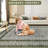 Mcquay Machine Washable Rug Non-Shedding Rug for Living Room Bordered Design Modern Rug Soft Fluffy Pile Throw Rug Indoor Carpet Ultra-Thin Floor Cover for Bedroom Hallway Dining Room Kitchen Office Playroom-723655324