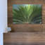 «Tropical III» par Dennis Frates-1395415184