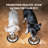 and Slow Feeder-13945764