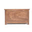 Allain Blanket Chest-16440491