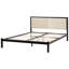 Sorin Upholstered Velvet Bed-38353964