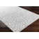 Emert Abstract Indoor / Outdoor Rug