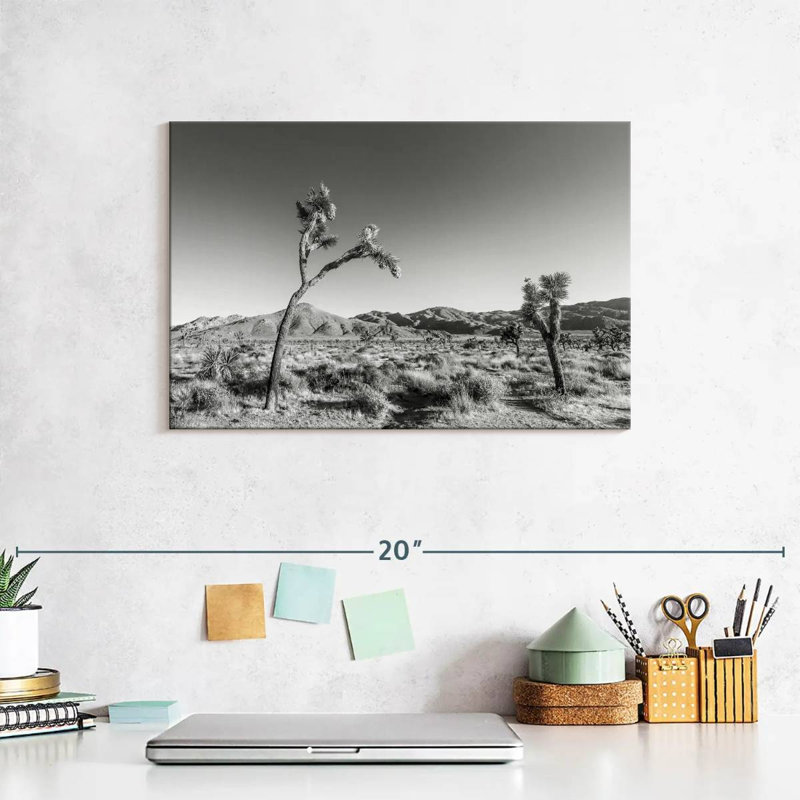 Harnek Joshua Tree National Park, monochrome, H 8 po x l 12 po