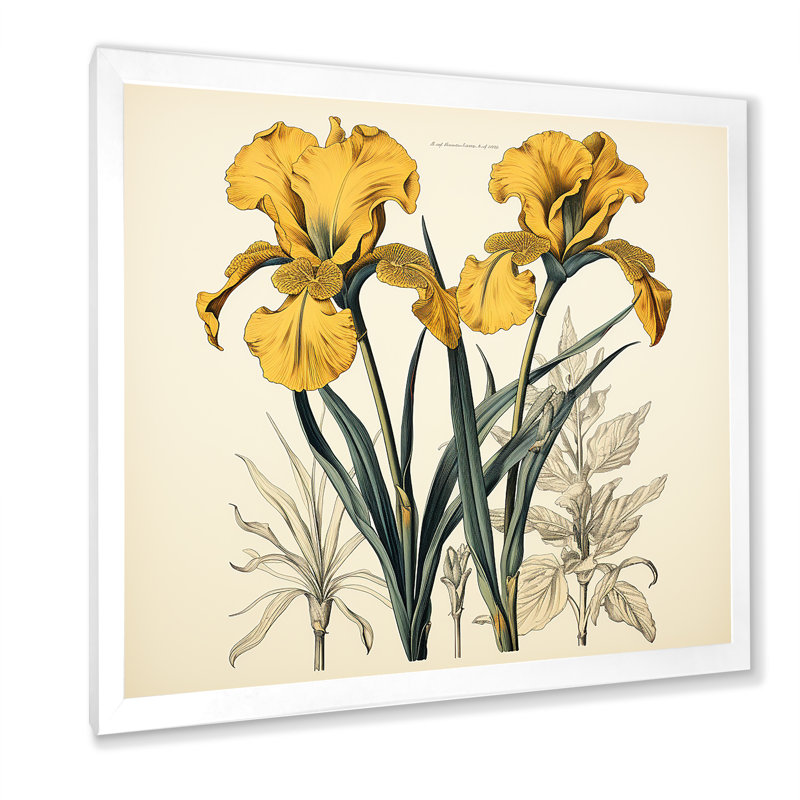Illustration rétro, iris dorés sur toile, Cadre simple blanc, H 24 po x l 24 po x P 1 po
