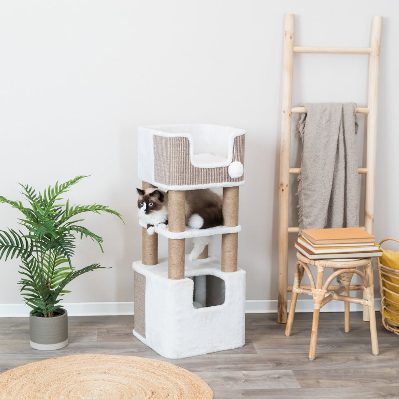 Trixie Lucano 39,8 po Arbre à chat griffes en sisal, condo recouvert de peluche, lits pour chat et plateformes, 2 jouets pour chat suspendus