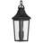 Cleary 24.75" 2-Light Outdoor Pendant with Clear Glass in Textured Black-126690932