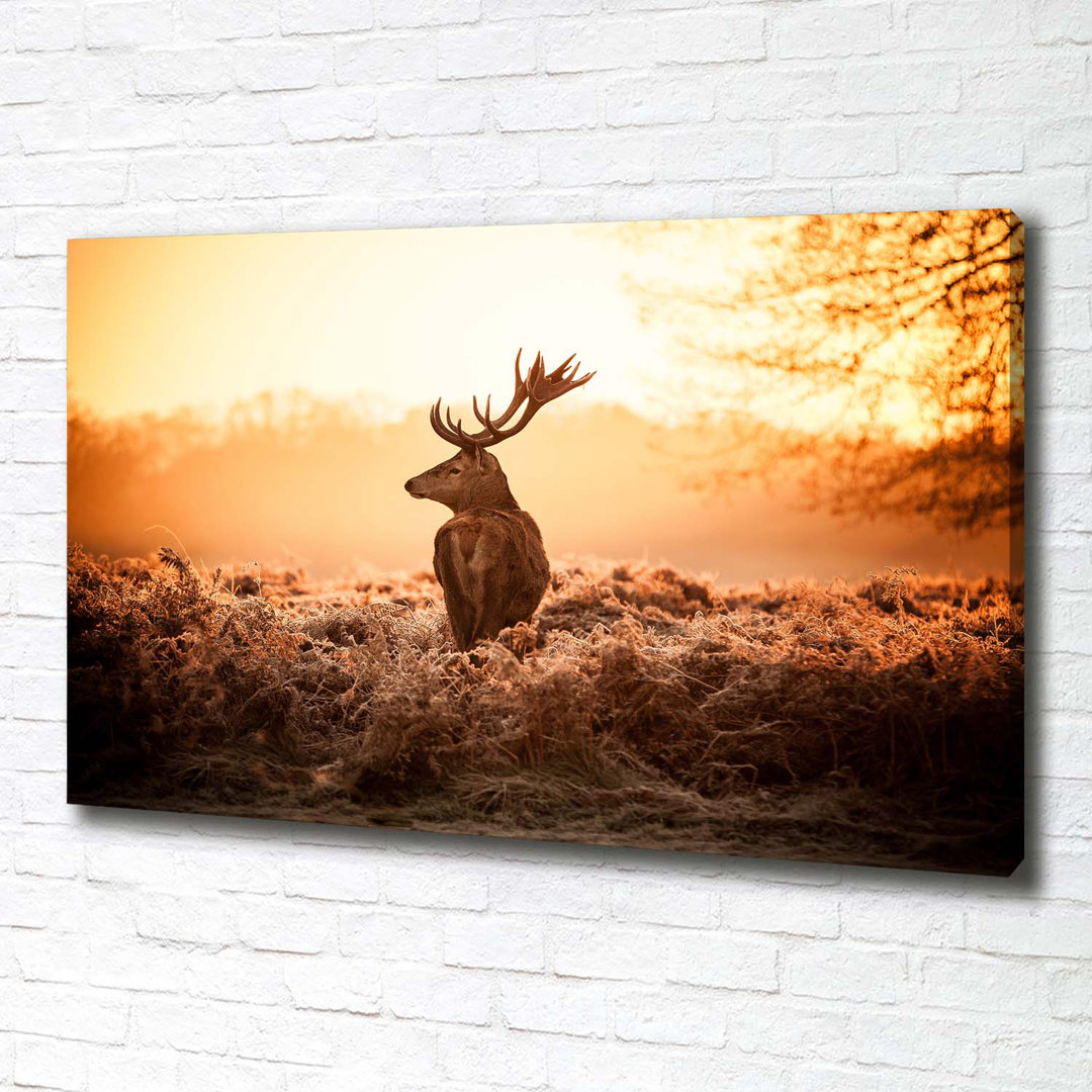 Deer Sunrise - Ungerahmte Kunstdrucke auf Leinwand