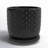 Brodie Ceramic Pot Planter-1974210317-1934194463-1934194462