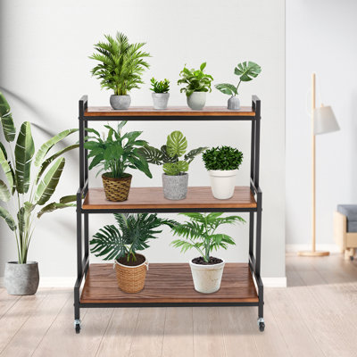 Multi-Tiered Plant Stand with Wheels
