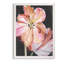 « pastel perroquet tulipes ii » par paul cezanne-photo, reproduction d’art encadrée-638261296-638261302