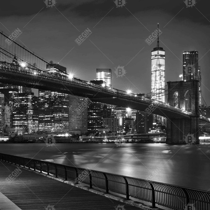 «City Under The Night»