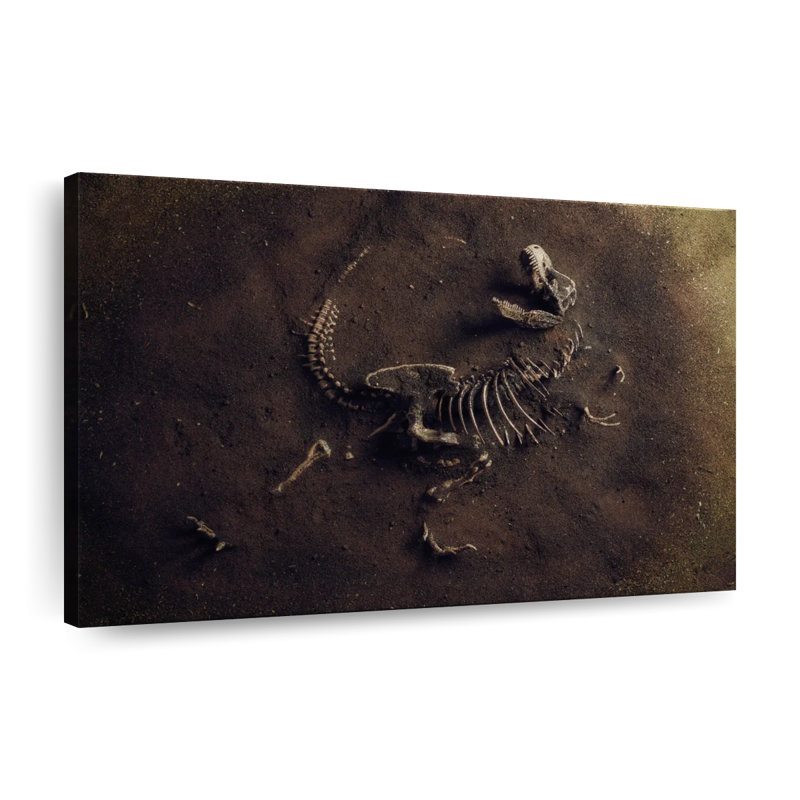 " Dinosaur Skeleton ", 20" H x 30" W x 1.25" D