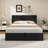 Raania Hydraulic Lift Up Storage  Upholstered Wingback Bed -457524856-457524855