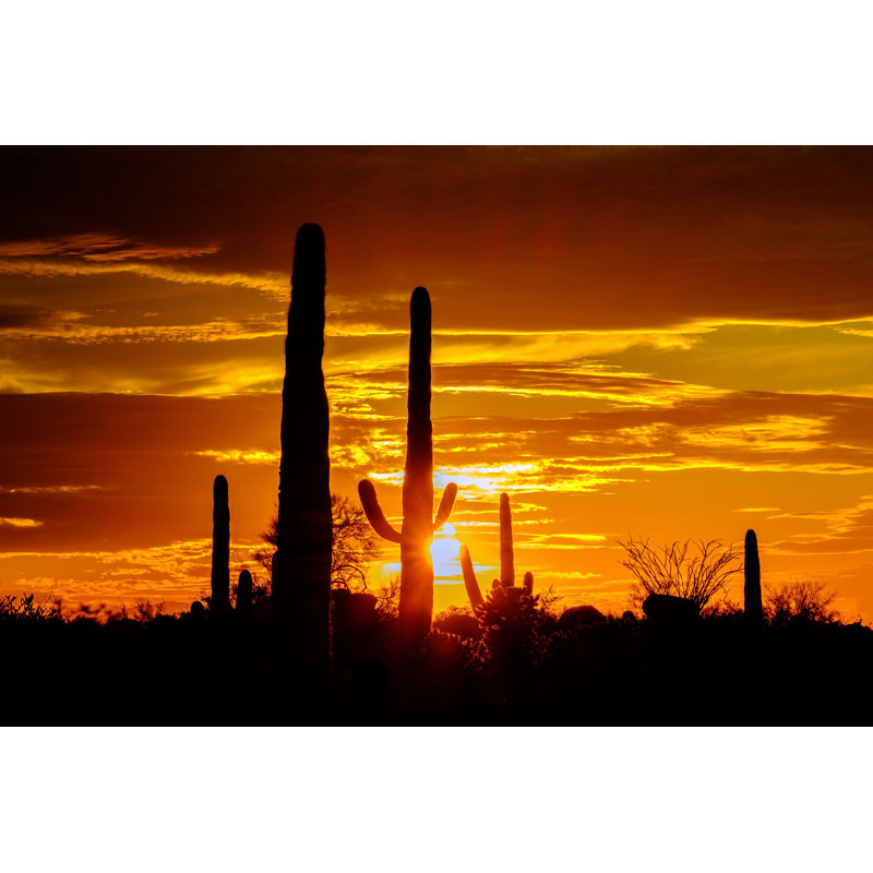 Desert Landscape at Sunset - Photographie sur toile tendue, H 32 po x l 48 po