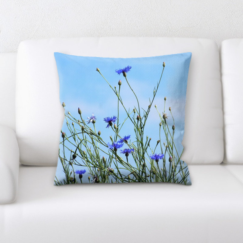 Coussin, bleuets,