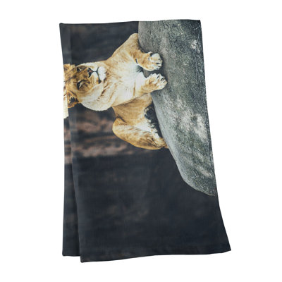 Tea Towel Kitchen Towel