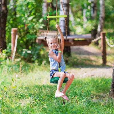 Disc Swing With Monkey Bars