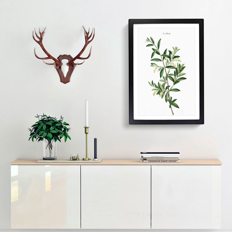 Green Olive Tree by Pierre-Joseph Redoute - Picture Frame Painting Print, 48cm H x 36cm W x 2cm D, Black Framed