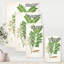 Vintage Botanicals VII - peinture sur toile-59814185-59814186