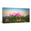 «Blooming Lotus Flowers at Sunset», photographie-26669336-35125729