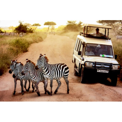 Zebras On Road by Delbars - Wrapped Canvas Print