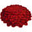 Andreoni Floral Indoor Rug-650518484
