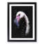 A Pink Flamingo Bird - Picture Frame Graphic Art Print-56856886-56856889