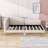 Kimarie Upholstered Daybed with Armrest-1955708376-1955708379