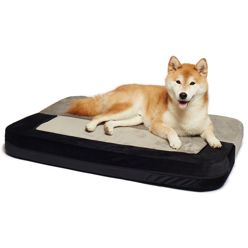 Canapé-lit orthopédique pour animal de compagnie convertible en velours Larry, Gris, Moyen (l 36 po x P 28 po x H 4 po)