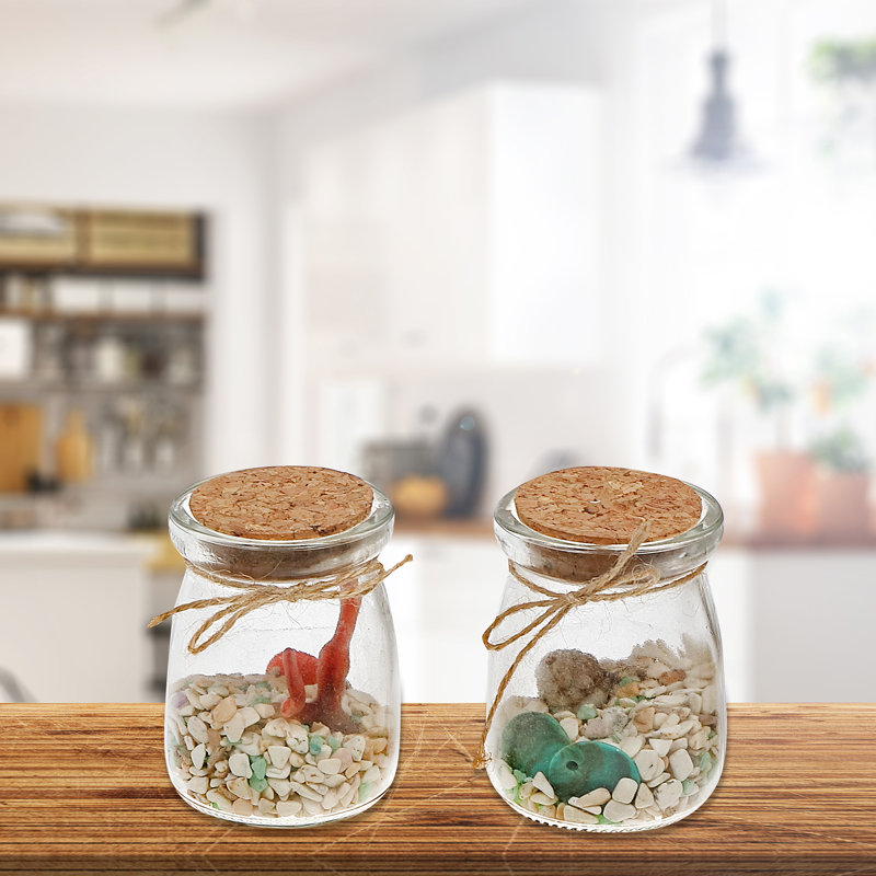 Ensemble de 2 bouteilles en verre et coquillages décoratifs «iH Casa Decor»