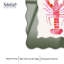Cadre mural en acrylique Grand Lobster's Tale III par NOTORIART-116253752-116253755-116612772